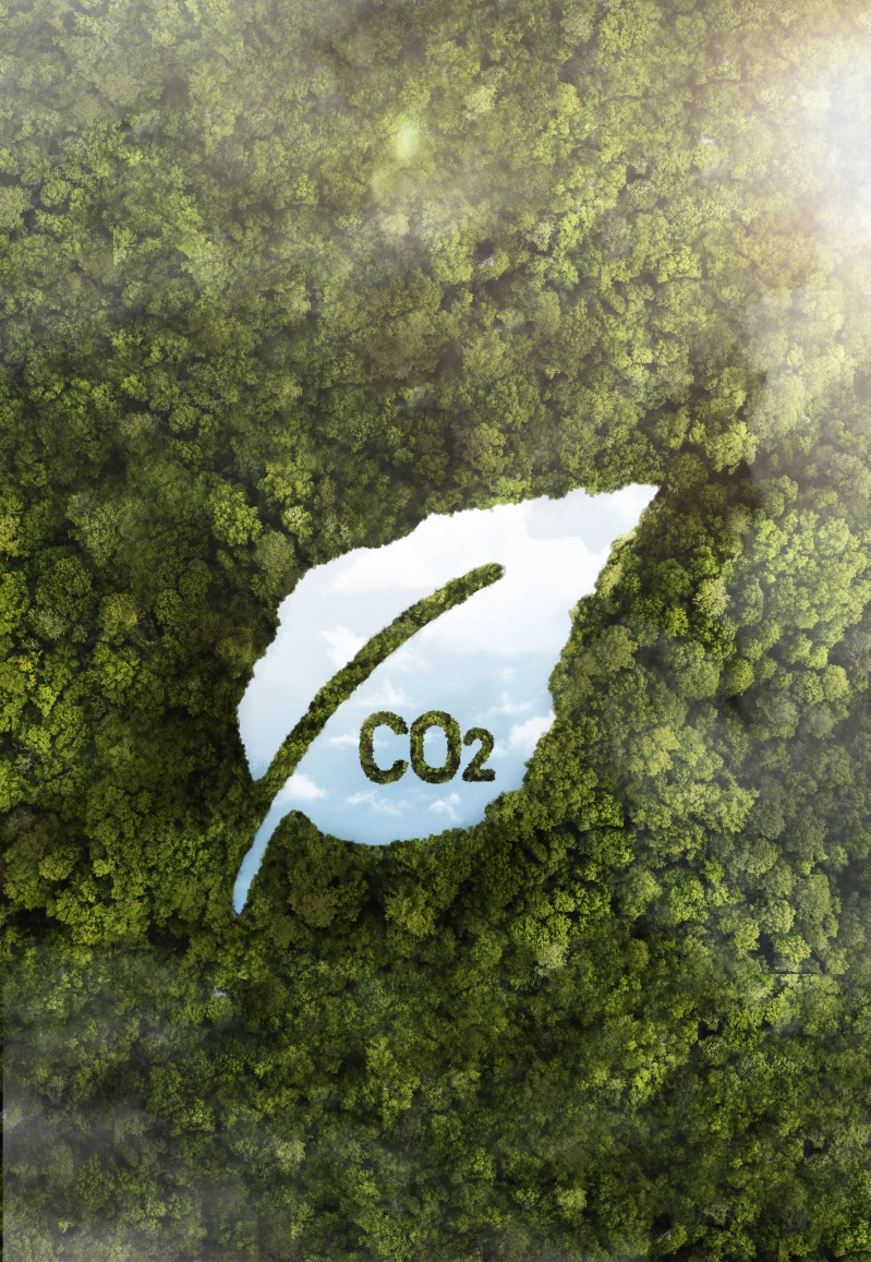 Calculo y Registro de la Huella de Carbono Obligación y Oportunidad
